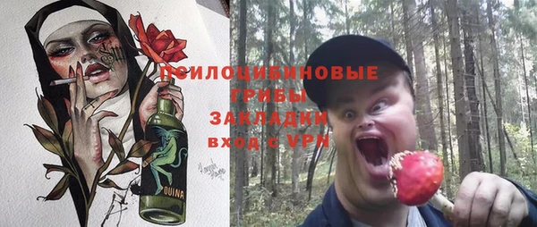 круглые Ельня
