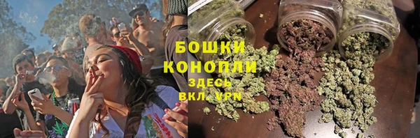 трава Елизово
