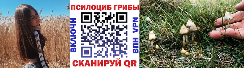 Галлюциногенные грибы Magic Shrooms Черноголовка