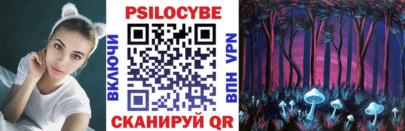 Купить закладки  Черноголовка  Галлюциногенные грибы GOLDEN TEACHER 